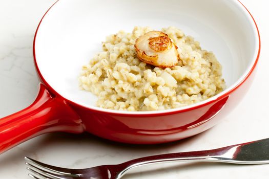 fried Saint Jacques mollusc with pearl barley risotto