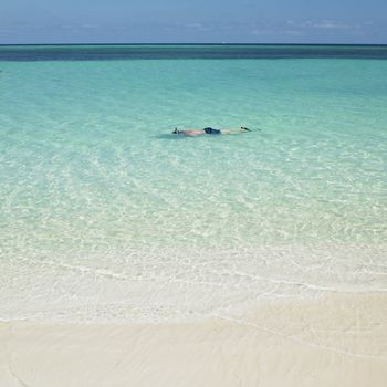 snorkeling, Guardalavaca, Cuba