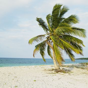 Cayo Sabinal, Camaguey Province, Cuba