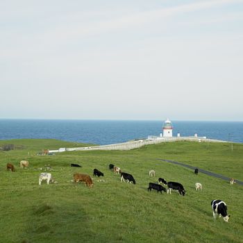 lighthouse, St. John's Point, County Donegal, Ireland