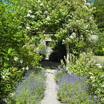 Ballinlough Castle Gardens, County Westmeath, Ireland