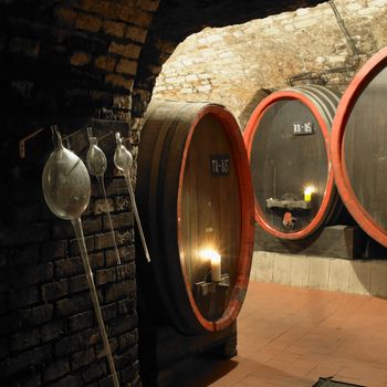 wine cellar, Litomerice, Czech Republic