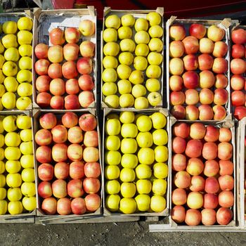 apples, Serbia