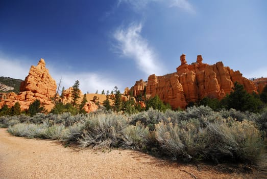 Rock formation and desert plant from Utah roadside near Zion National Park