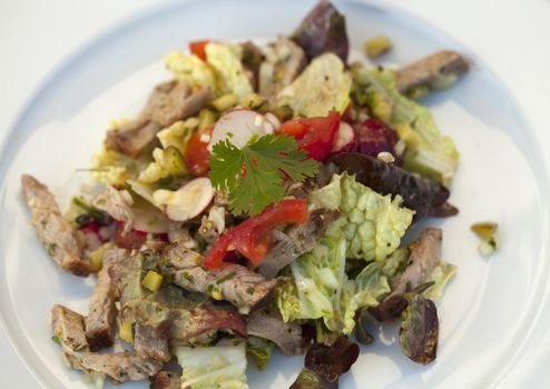 Beef Salad with lettuce, tomatoes, cucumbers, onion, salt, pepper