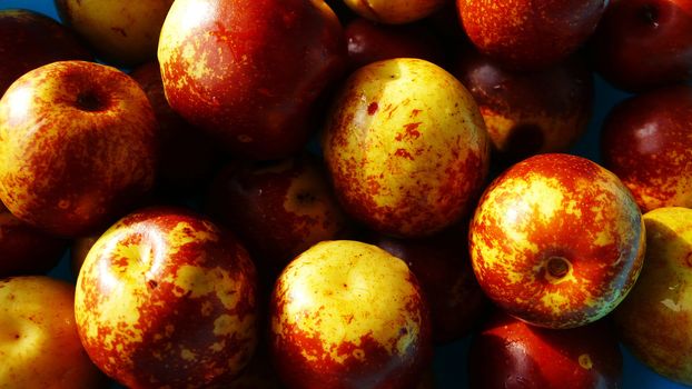 Pile of fresh date fruits in the autumn