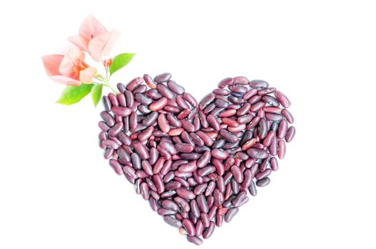 Heart-shaped appearance made of beans with pink flowers isolated on white background