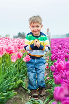 Boy runs between of the purple tulips field