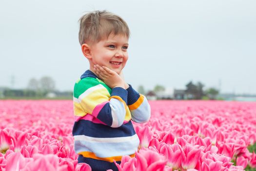 Portrait boy runs between of the purple tulips field