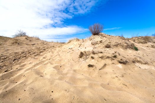 sandy dune over blue sky close to Haarlem in Netherlands