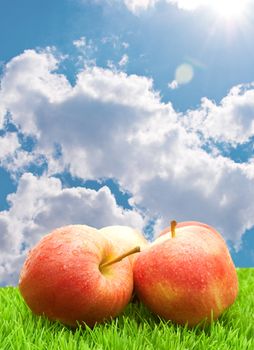 Red Apples on Green Grass under Blue Sky