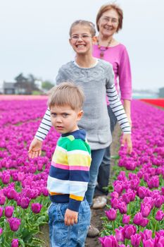 Boy with his sister and grandmother runs between of the purple tulips field