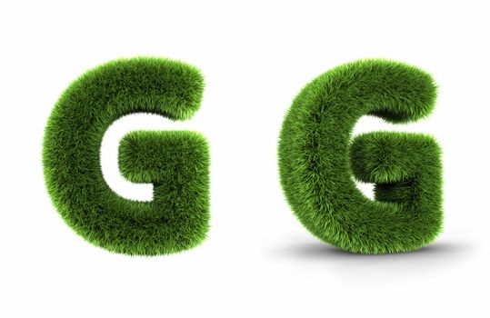 Grass letter g, isolated on white background