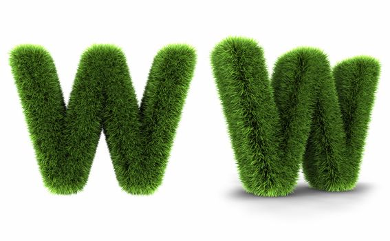 Grass letter w, isolated on white background