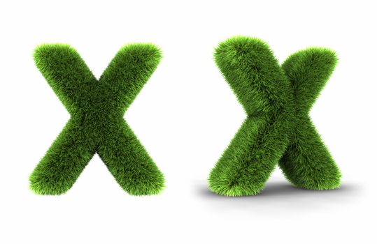 Grass letter x, isolated on white background