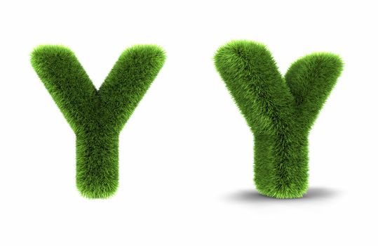 Grass letter y, isolated on white background