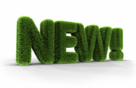 Grass word, new, isolated on white background, 3D render