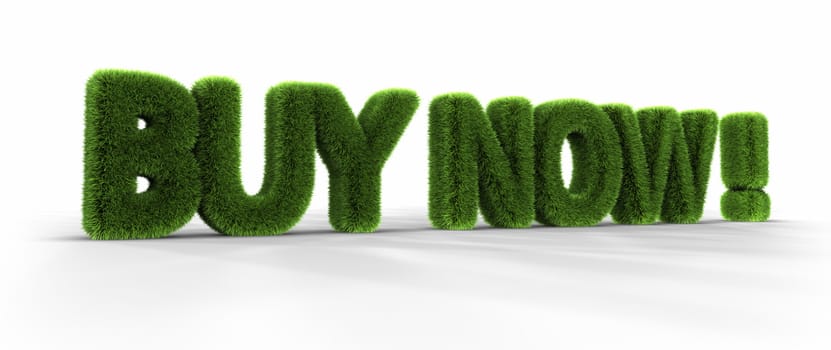 Grass words, buy now, isolated on white background, 3D render