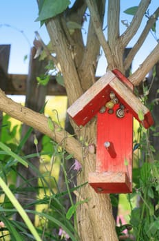 A small red painted wooden constructed bird house, set amongst a bud-lia tree and garden foliage in a small city garden, Snails take refuge in the eves of the bird house.Set on a portrait format.