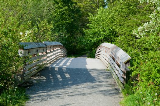 Wood bridge in Washington Park Arboretum