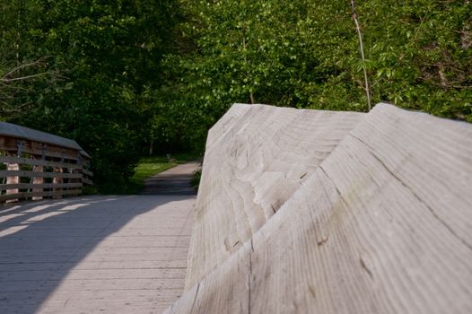 Wood bridge in Washington Park Arboretum