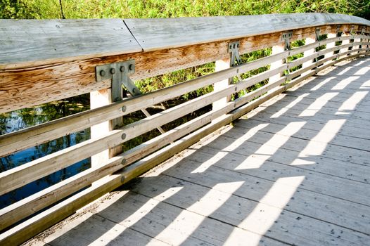 Wood bridge in Washington Park Arboretum