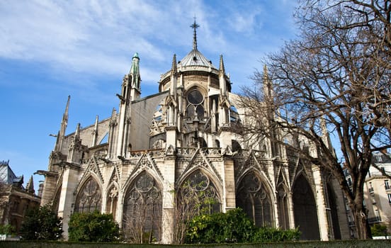 Detail of gothic Cathedral of Notre Dame in Paris