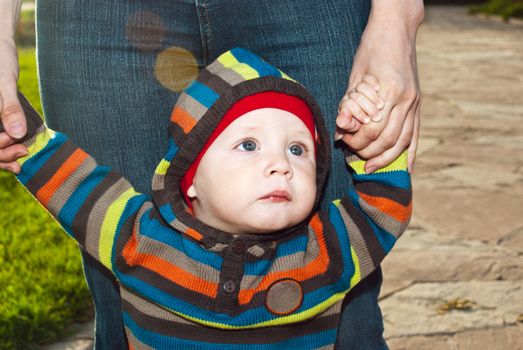 Cute little kid on the nature of the parent holding hands.