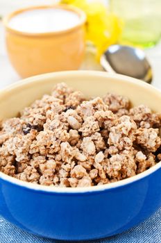 Breakfast cereal in bowl close up