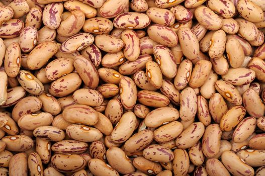 background of raw dry uncooked Pinto beans