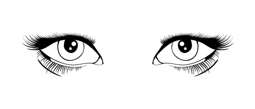 Beautiful female eyes black and white . Vector illustration EPS8