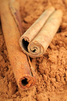 cocoa and cinnamon isolated on white background