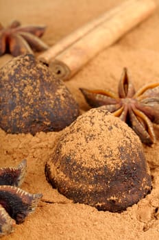 cinnamon chocolate truffles and Star anise isolated on white background