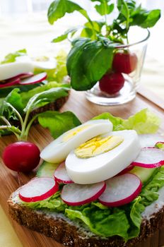 Fresh toast sandwiches with egg and radish close up