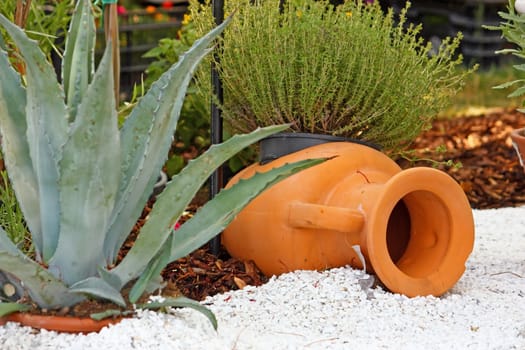 Clay jar and agave, detail from garden