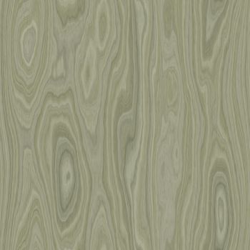 Seamless high quality high resolution plywood background
