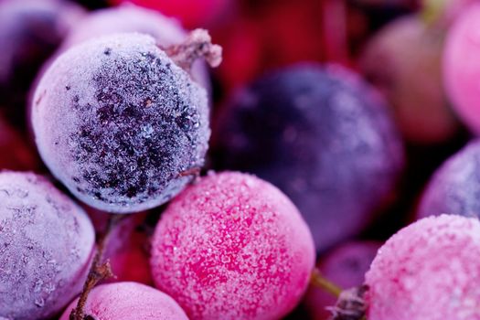 Macro view of frozen berries: blackcurrant, redcurrant, blueberry