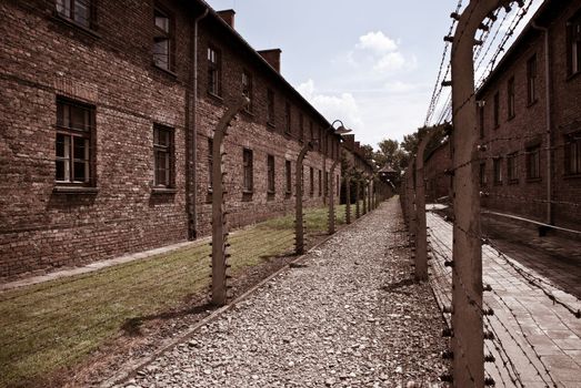path in a concentration camp in Poland