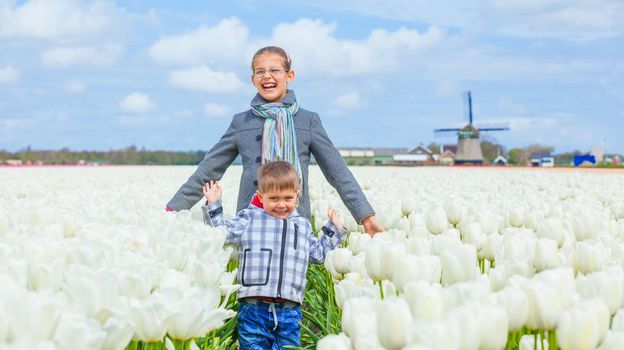 Boy with his sister and grandmother runs between of the purple tulips field