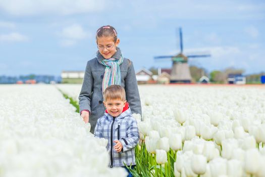 Boy with his sister and grandmother runs between of the purple tulips field