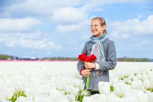 Girl walks between of the purple tulips field