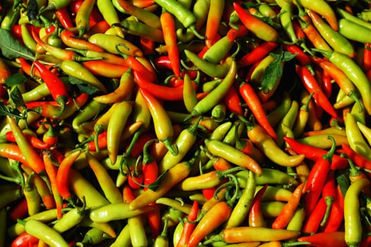 Pile of fresh pepper in a market