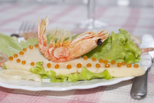 Sea shrimp on cheese with red caviar of a salmon and leaves of green salad.Restaurant background
