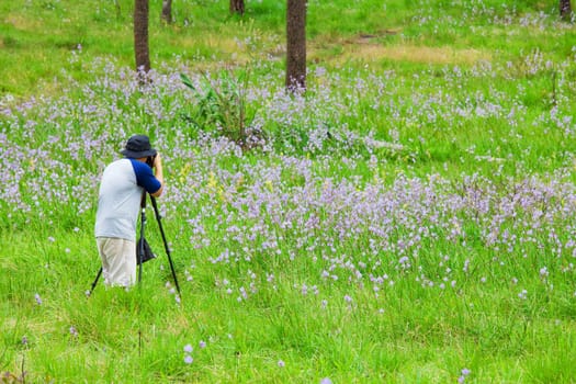 photographer at the forest