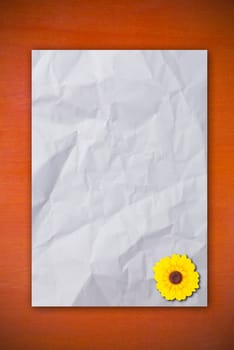 paper on wood