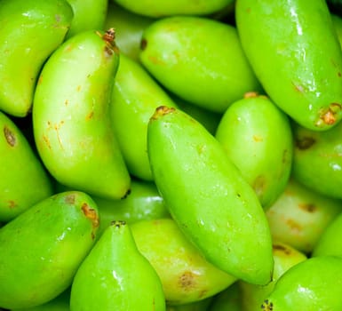 Garcinia