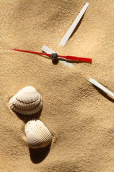 Time concept. Two seashells near clock hands on sand surface