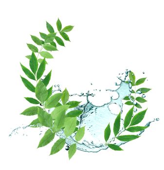 Ecology concept.Abstract composition with green leaves and splashing water