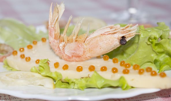 Sea shrimp on cheese with red caviar of a salmon and leaves of green salad