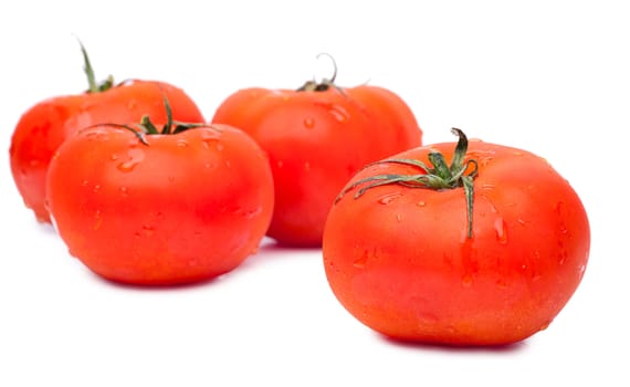 Fresh ripe tomatoes isolated on the white background
